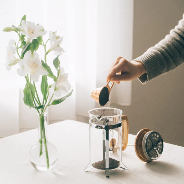 Hario Coffee Press Olive Wood